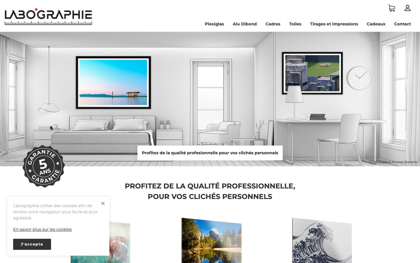 Site internet de Labographie, réalisé par BeebopCity